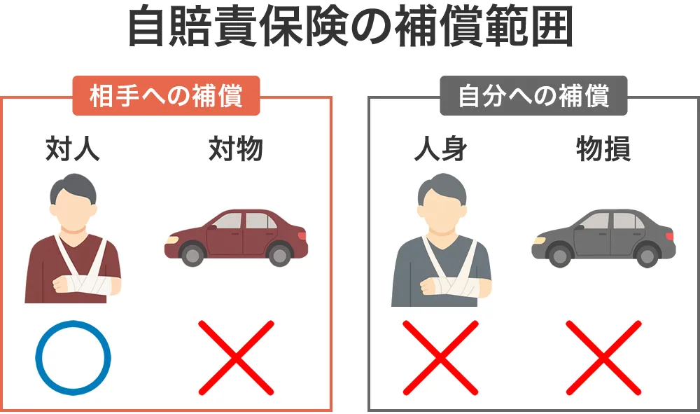 自賠責保険の補償範囲