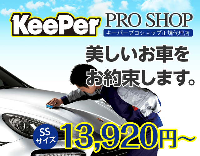 エステー KEEPER コーティング専門店の鉄粉クリーナー ボディ用 300ml - 1